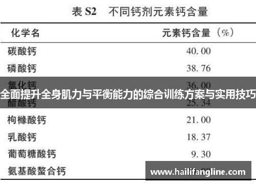 全面提升全身肌力与平衡能力的综合训练方案与实用技巧