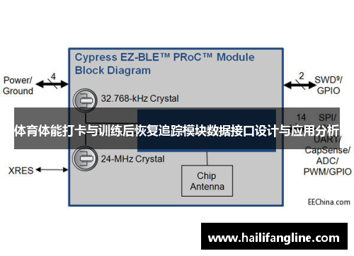 体育体能打卡与训练后恢复追踪模块数据接口设计与应用分析